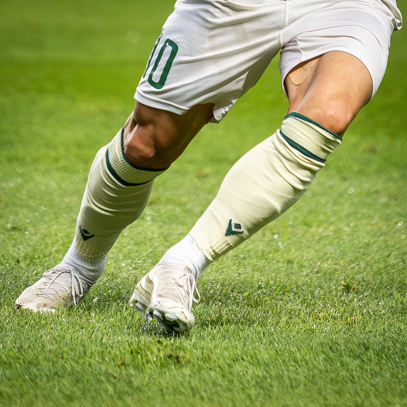 2025/26 Sportszár Hazai